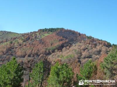 Castañar de la Sierra de San Vicente - Convento del Piélago;senderismo en la pedriza;senderismo po